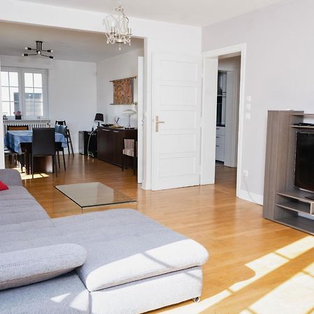 Charmant Appartement Avec Terrasse Dans Villa 스트라스부르 외부 사진