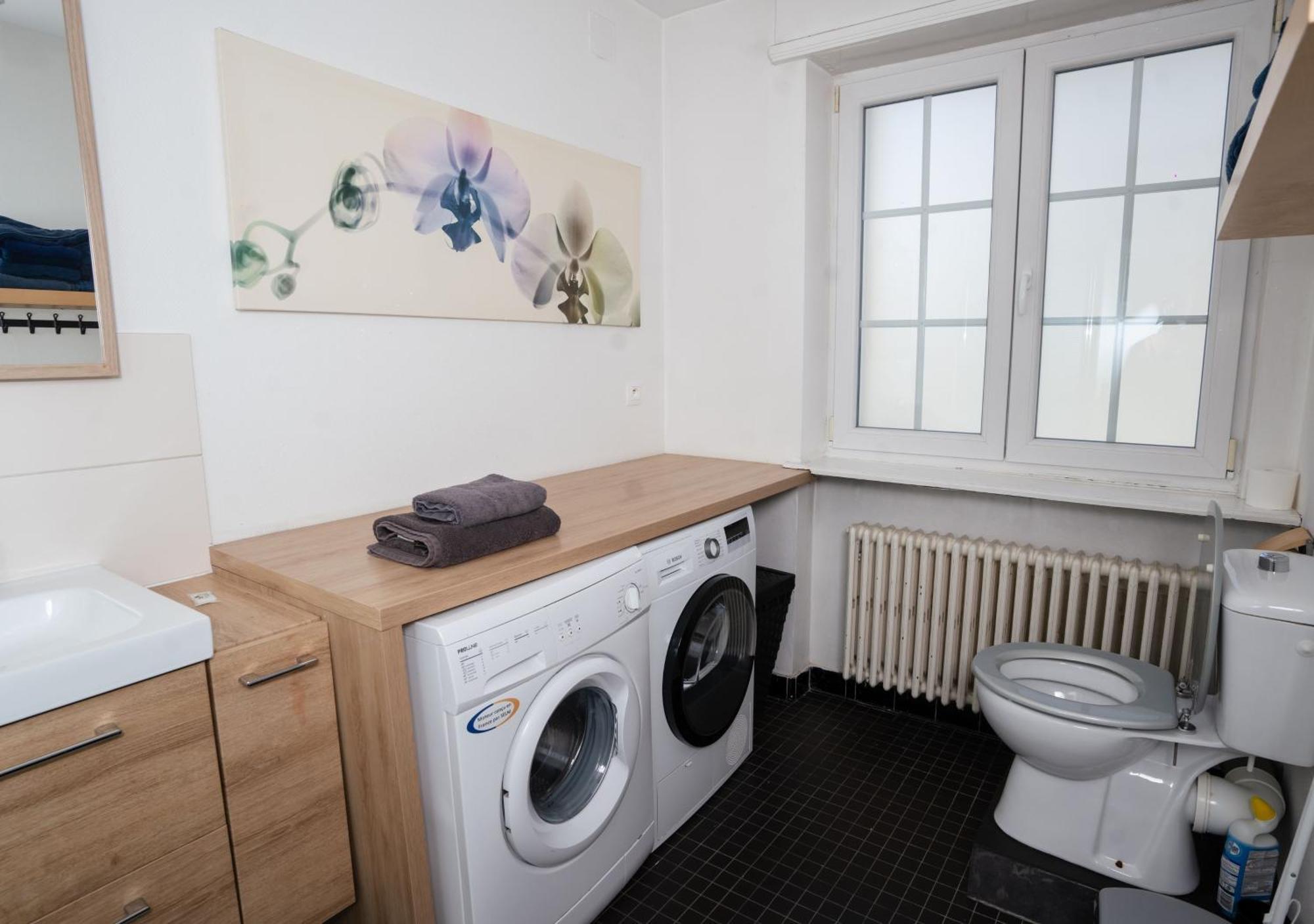 Charmant Appartement Avec Terrasse Dans Villa 스트라스부르 외부 사진